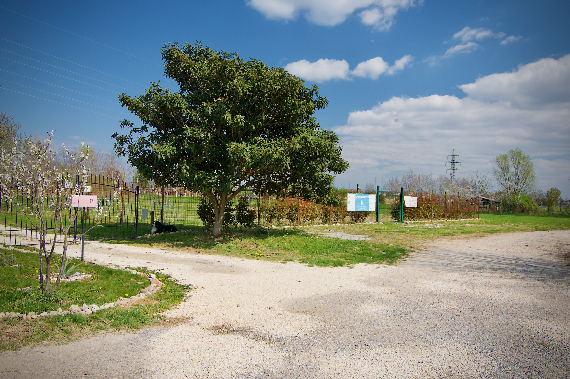 Campo Cinofilo Laura Rossi Martelli 01